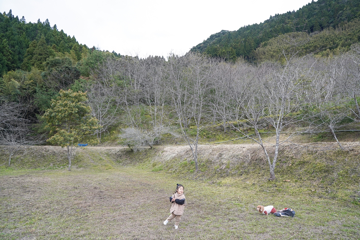 【新竹五峰露營車推薦】蟬說：霧語露營車開箱｜親子寵物友善、一泊二食免裝備超享受