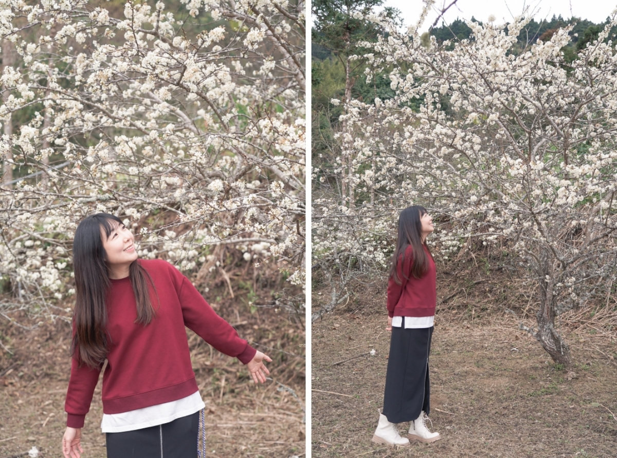 【新竹五峰露營車推薦】蟬說：霧語露營車開箱｜親子寵物友善、一泊二食免裝備超享受