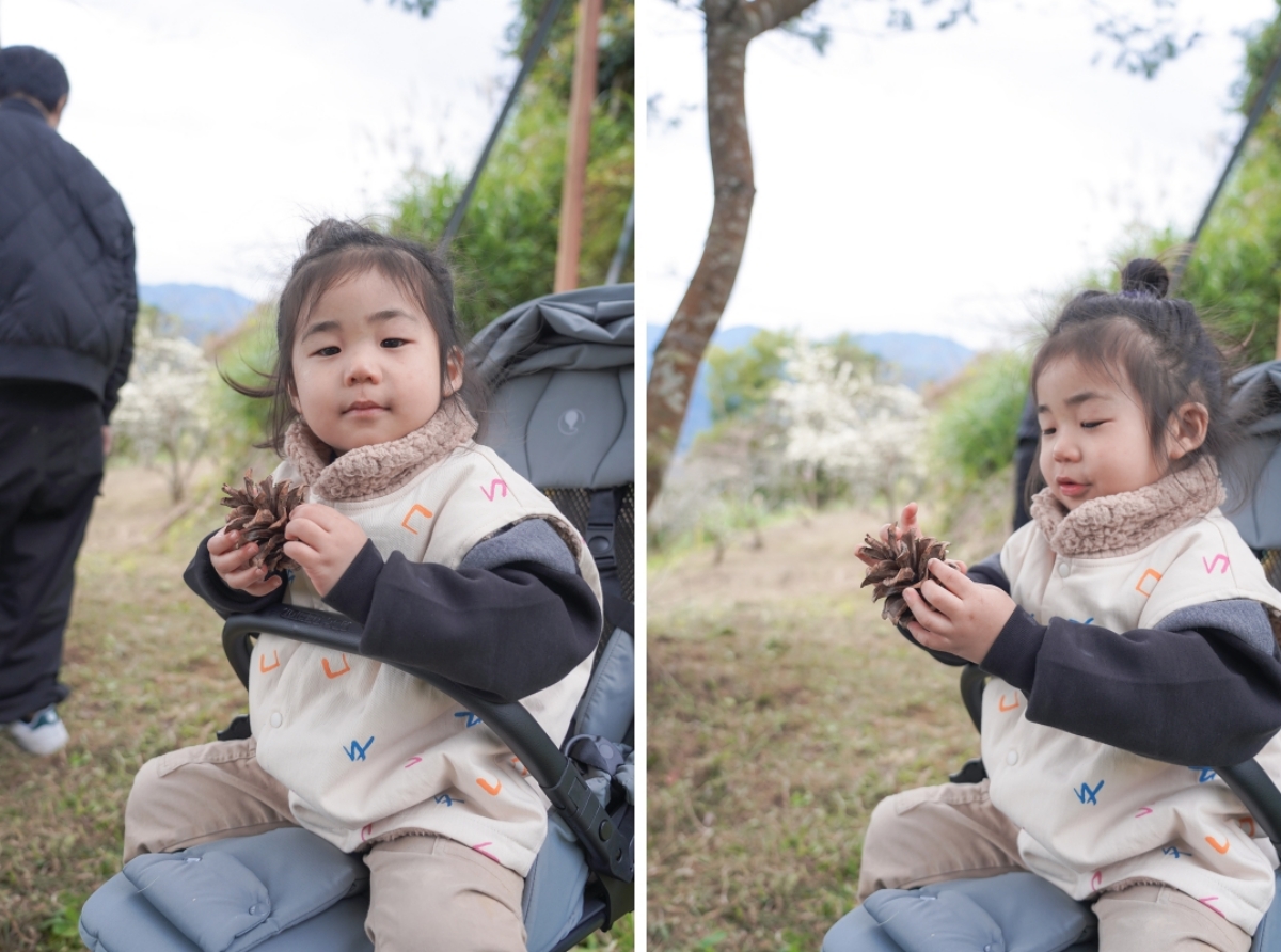 【新竹五峰露營車推薦】蟬說：霧語露營車開箱｜親子寵物友善、一泊二食免裝備超享受