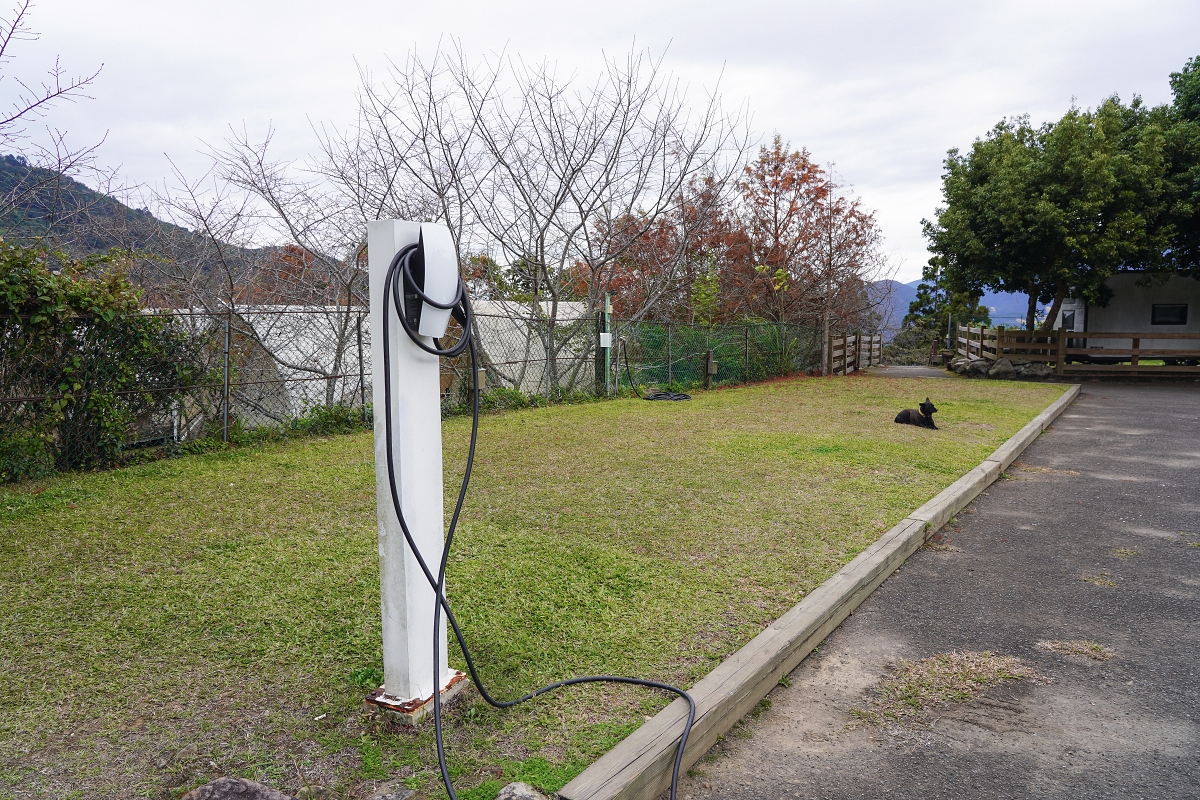 【新竹五峰寵物友善豪華露營】蟬說：霧繞 豐收地帳棚住宿開箱｜一泊二食×雲海美景×櫻花季