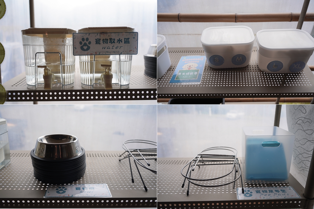 【新竹五峰寵物友善豪華露營】蟬說：霧繞 豐收地帳棚住宿開箱｜一泊二食×雲海美景×櫻花季