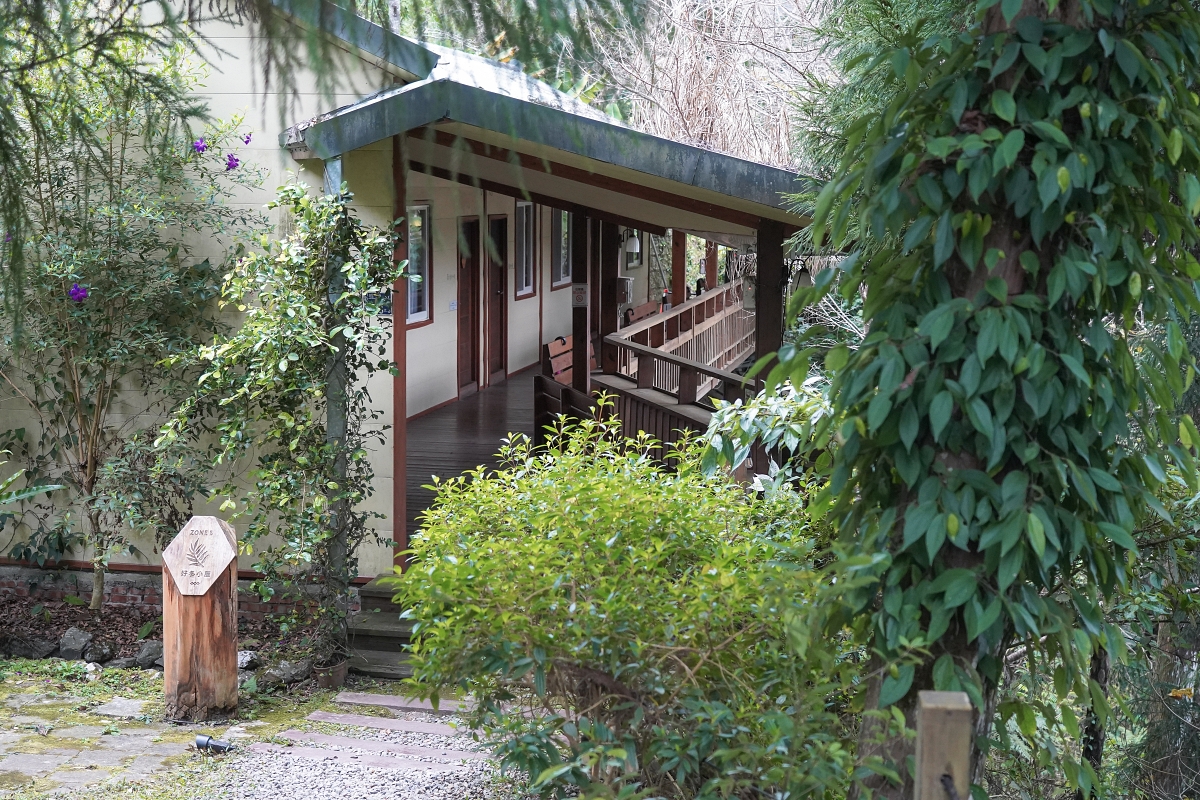 【新竹五峰寵物友善豪華露營】蟬說：霧繞 豐收地帳棚住宿開箱｜一泊二食×雲海美景×櫻花季