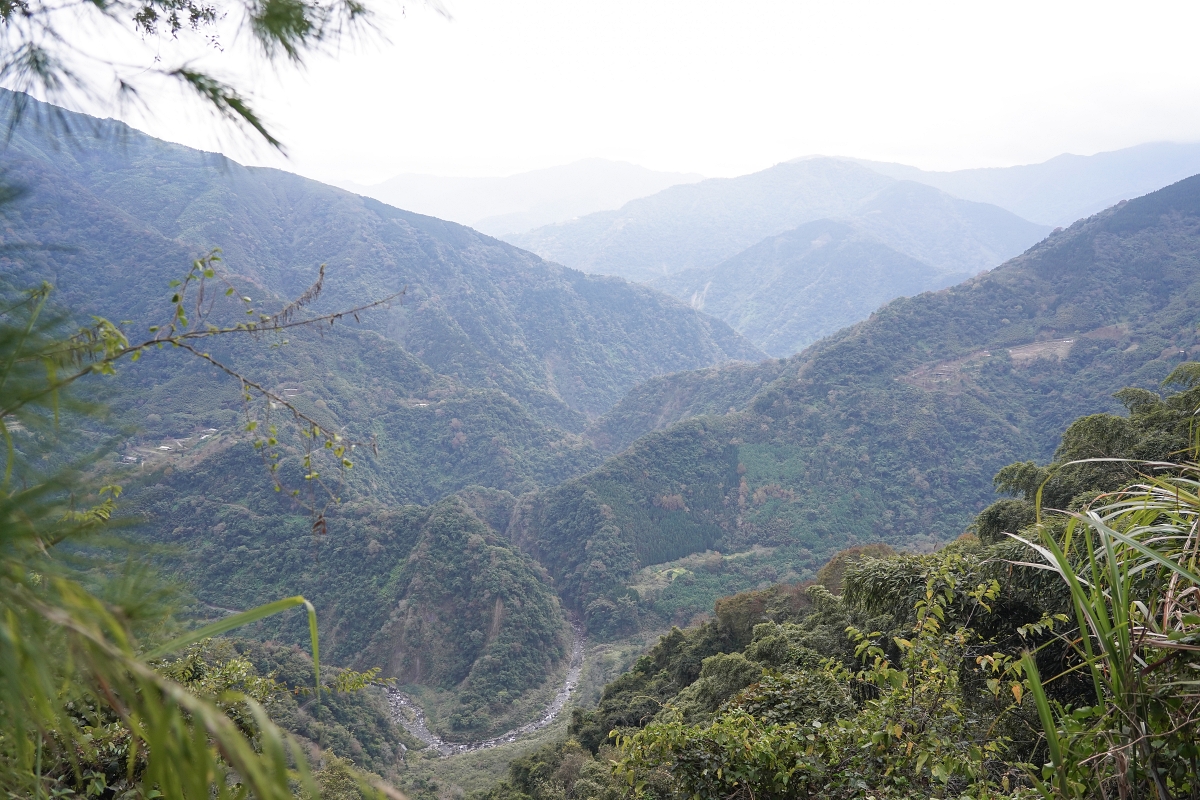 【新竹五峰寵物友善豪華露營】蟬說：霧繞 豐收地帳棚住宿開箱｜一泊二食×雲海美景×櫻花季