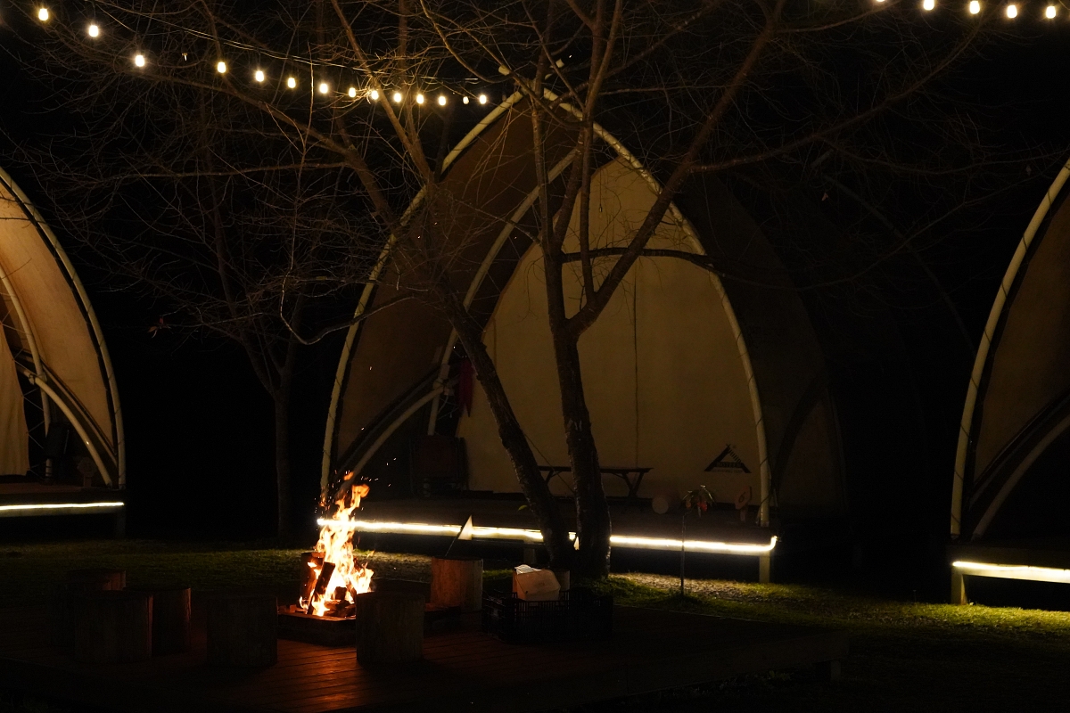 【新竹五峰寵物友善豪華露營】蟬說：霧繞 豐收地帳棚住宿開箱｜一泊二食×雲海美景×櫻花季