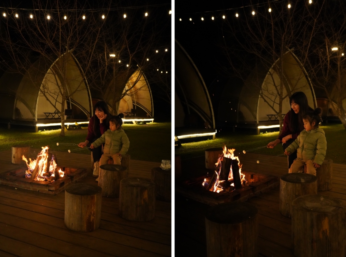 【新竹五峰寵物友善豪華露營】蟬說：霧繞 豐收地帳棚住宿開箱｜一泊二食×雲海美景×櫻花季