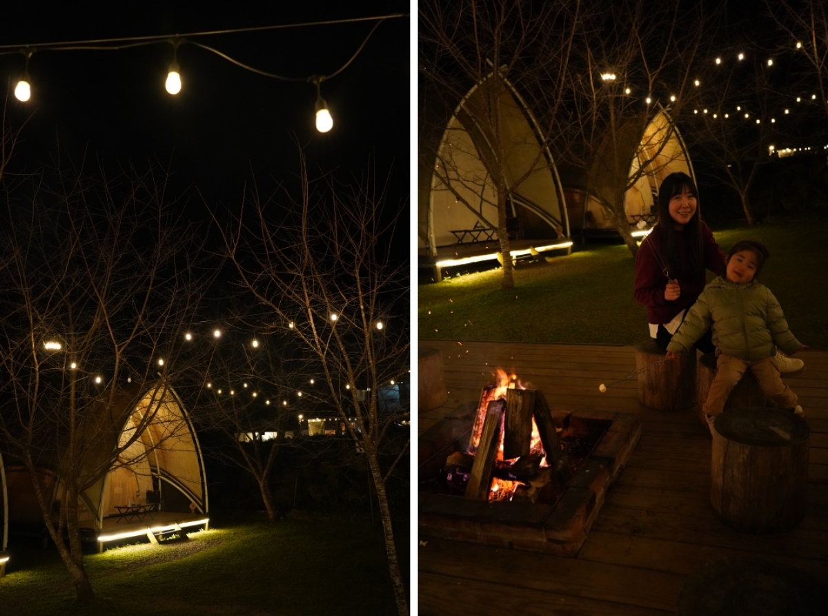 【新竹五峰寵物友善豪華露營】蟬說：霧繞 豐收地帳棚住宿開箱｜一泊二食×雲海美景×櫻花季