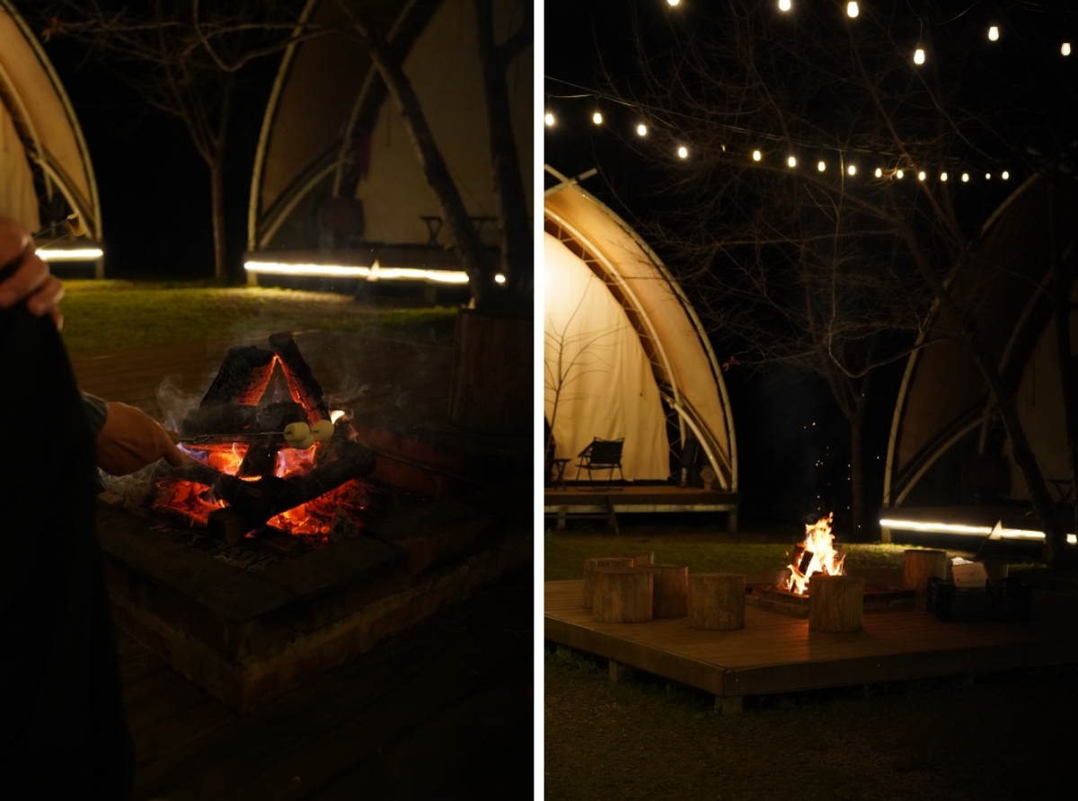 【新竹五峰寵物友善豪華露營】蟬說：霧繞 豐收地帳棚住宿開箱｜一泊二食×雲海美景×櫻花季