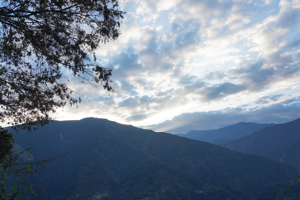 【新竹五峰寵物友善豪華露營】蟬說：霧繞 豐收地帳棚住宿開箱｜一泊二食×雲海美景×櫻花季
