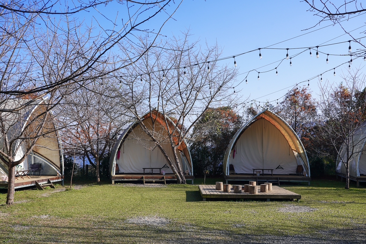 【新竹五峰寵物友善豪華露營】蟬說：霧繞 豐收地帳棚住宿開箱｜一泊二食×雲海美景×櫻花季