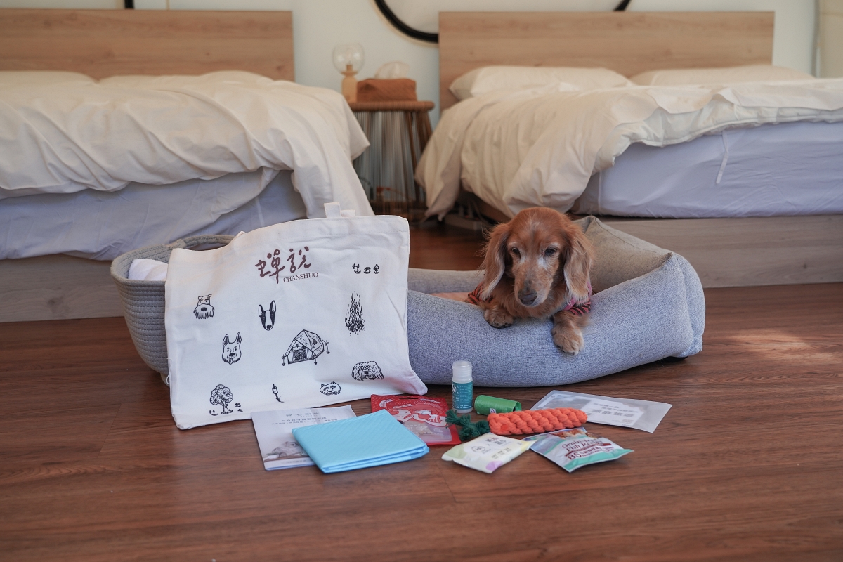 【新竹五峰寵物友善豪華露營】蟬說：霧繞 豐收地帳棚住宿開箱｜一泊二食×雲海美景×櫻花季