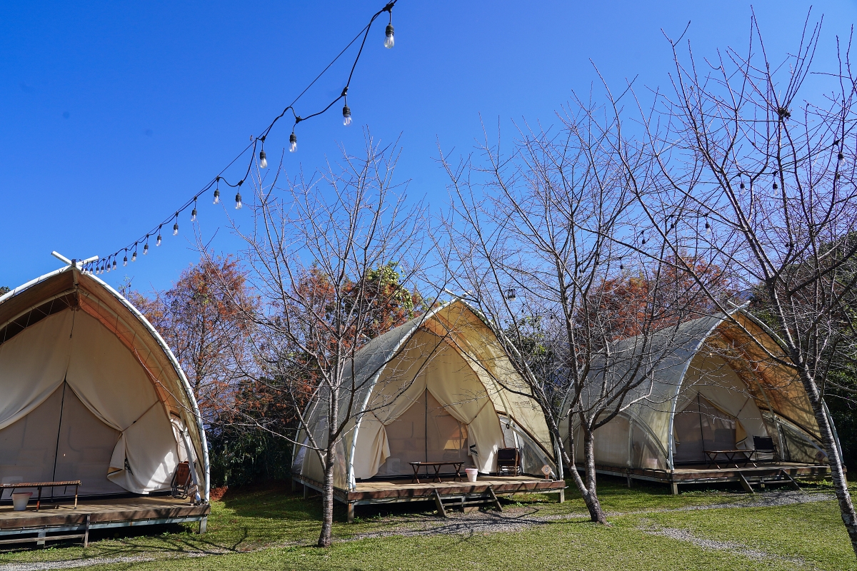 【新竹五峰寵物友善豪華露營】蟬說：霧繞 豐收地帳棚住宿開箱｜一泊二食×雲海美景×櫻花季