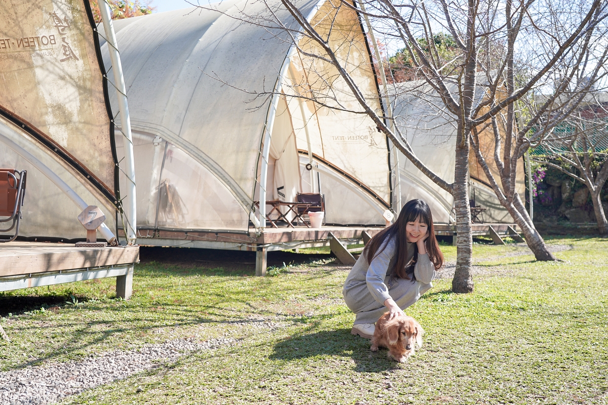 【新竹五峰寵物友善豪華露營】蟬說：霧繞 豐收地帳棚住宿開箱｜一泊二食×雲海美景×櫻花季