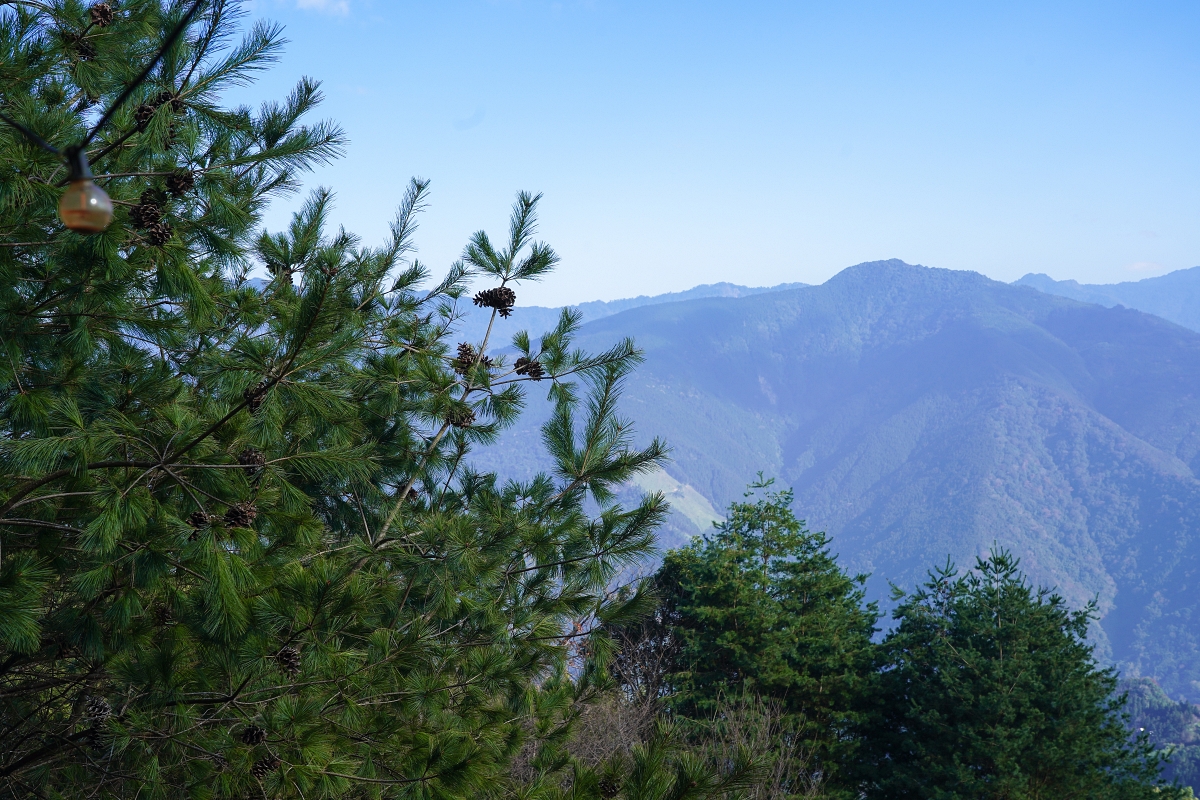 【新竹五峰露營車推薦】蟬說：霧語露營車開箱｜親子寵物友善、一泊二食免裝備超享受