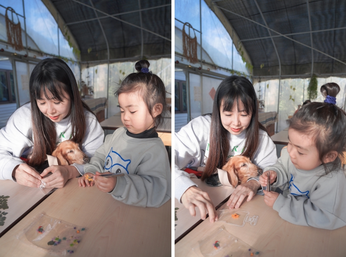 【新竹五峰露營車推薦】蟬說：霧語露營車開箱｜親子寵物友善、一泊二食免裝備超享受