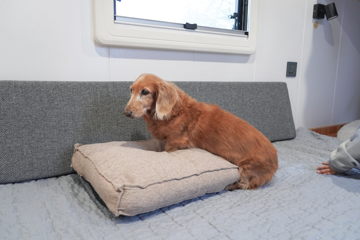 【新竹五峰露營車推薦】蟬說：霧語露營車開箱｜親子寵物友善、一泊二食免裝備超享受