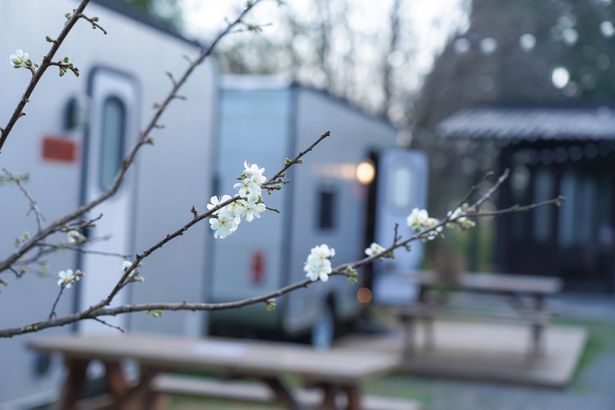 【新竹五峰露營車推薦】蟬說:霧語露營車開箱|親子寵物友善、一泊二食免裝備超享受 - 第2張圖 【新竹五峰露營車推薦】蟬說:霧語露營車開箱|親子寵物友善、一泊二食免裝備超享受