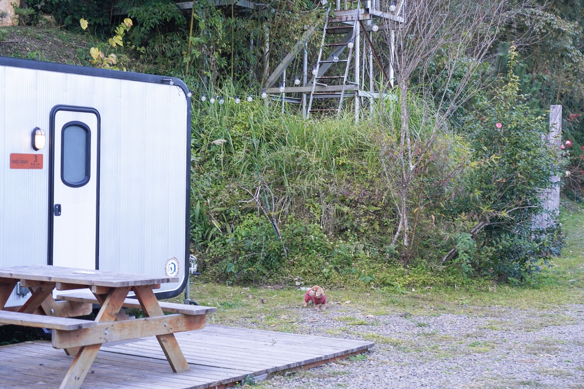 【新竹五峰露營車推薦】蟬說:霧語露營車開箱|親子寵物友善、一泊二食免裝備超享受 - 第41張圖 【新竹五峰露營車推薦】蟬說:霧語露營車開箱|親子寵物友善、一泊二食免裝備超享受