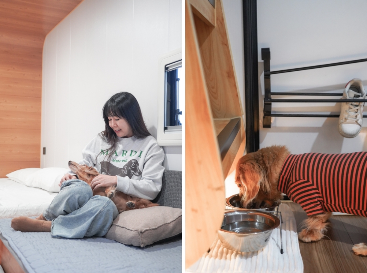 【新竹五峰露營車推薦】蟬說：霧語露營車開箱｜親子寵物友善、一泊二食免裝備超享受