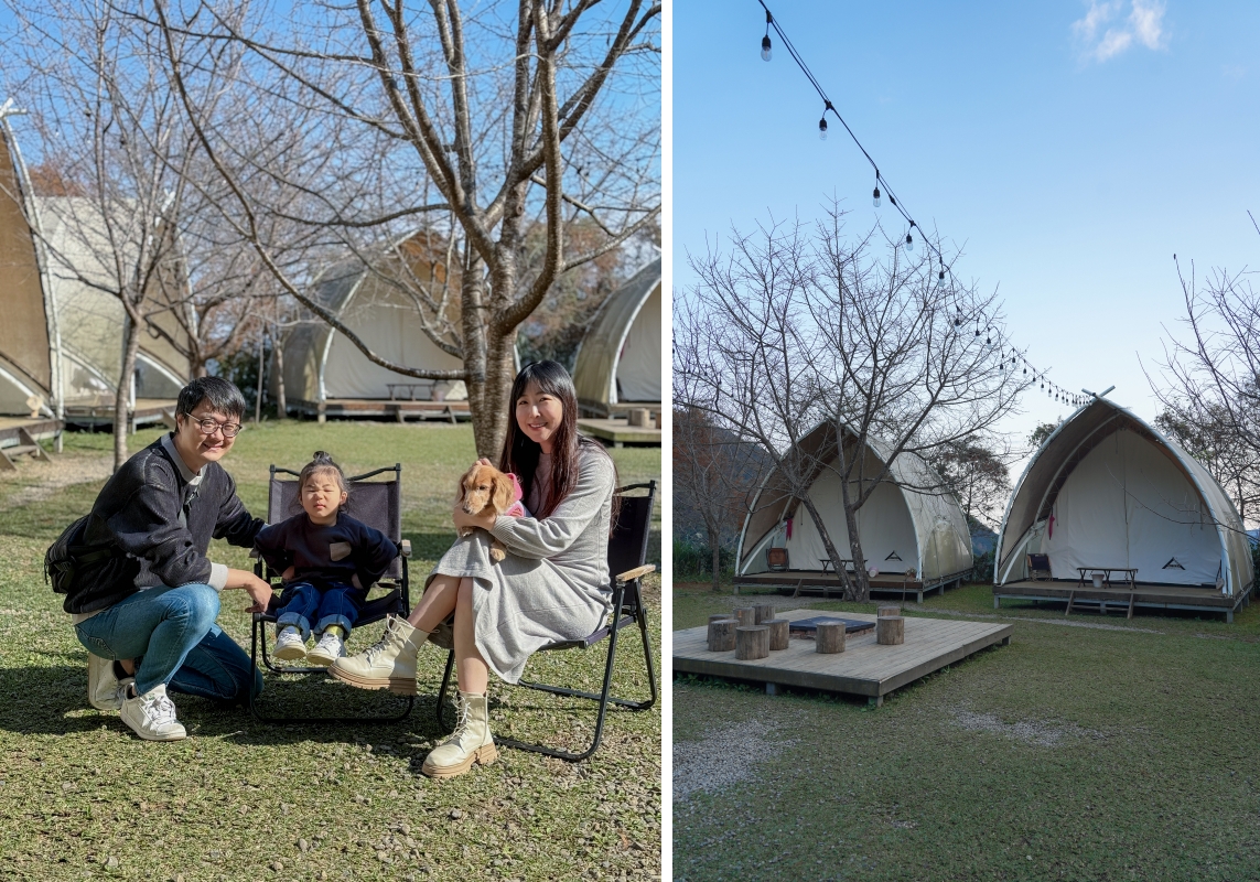 【新竹五峰寵物友善豪華露營】蟬說：霧繞 豐收地帳棚住宿開箱｜一泊二食×雲海美景×櫻花季