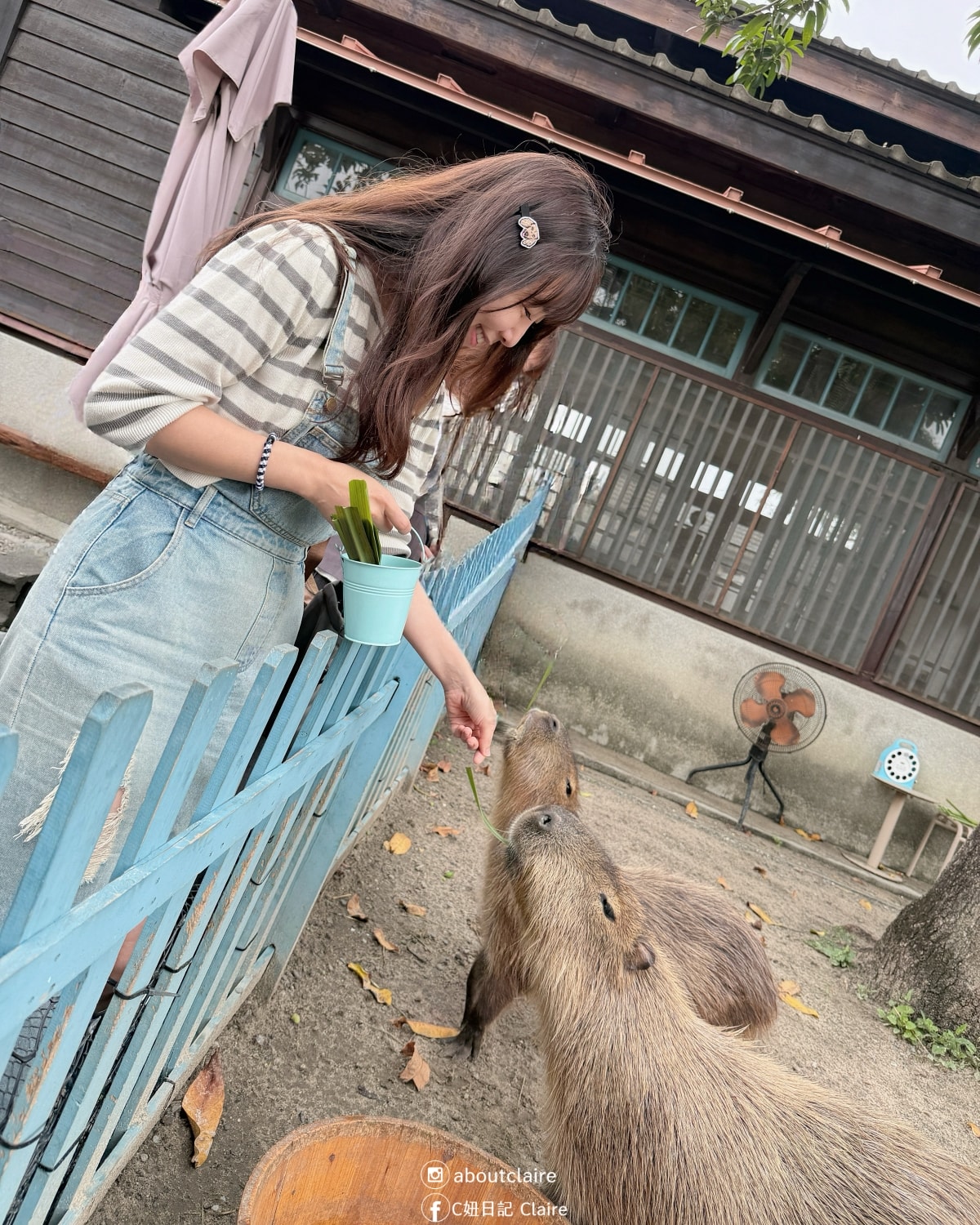 台南兩天一夜這樣玩｜百年運河夜遊、文化走讀、武聖夜市美食到臺南國家美術館