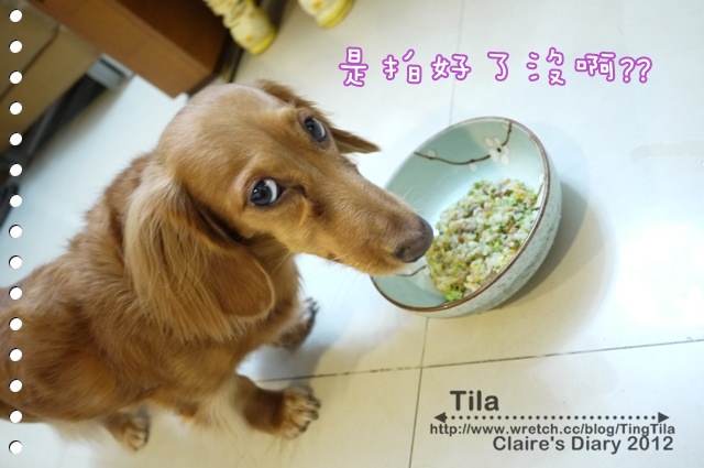 寵物鮮食》狗狗也帶便當囉！Tila吃的方便鮮食‧汪事如意-飼料巔峰ZiwiPeak♥♥