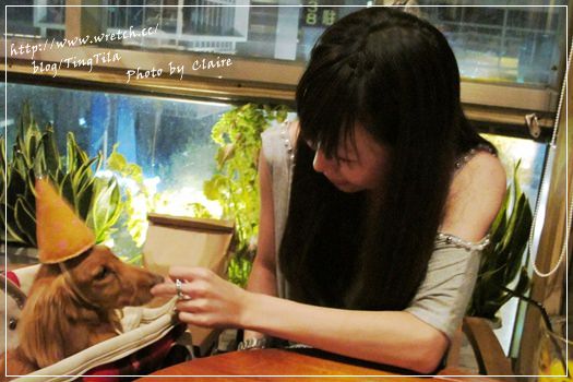 【寵物友善餐廳】台北內湖 貳樓 ♥ TILA慶生趣
