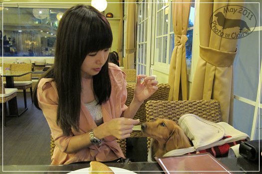 【寵物友善餐廳】台北內湖 象園咖啡