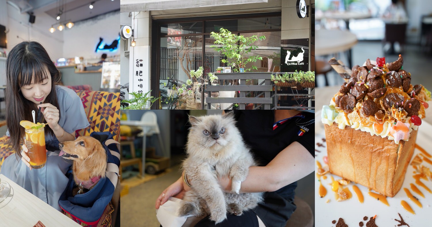 台北寵物友善餐廳懶人包｜狗狗寵物餐!寵物友善咖啡廳推薦-帶毛小孩吃喝玩樂