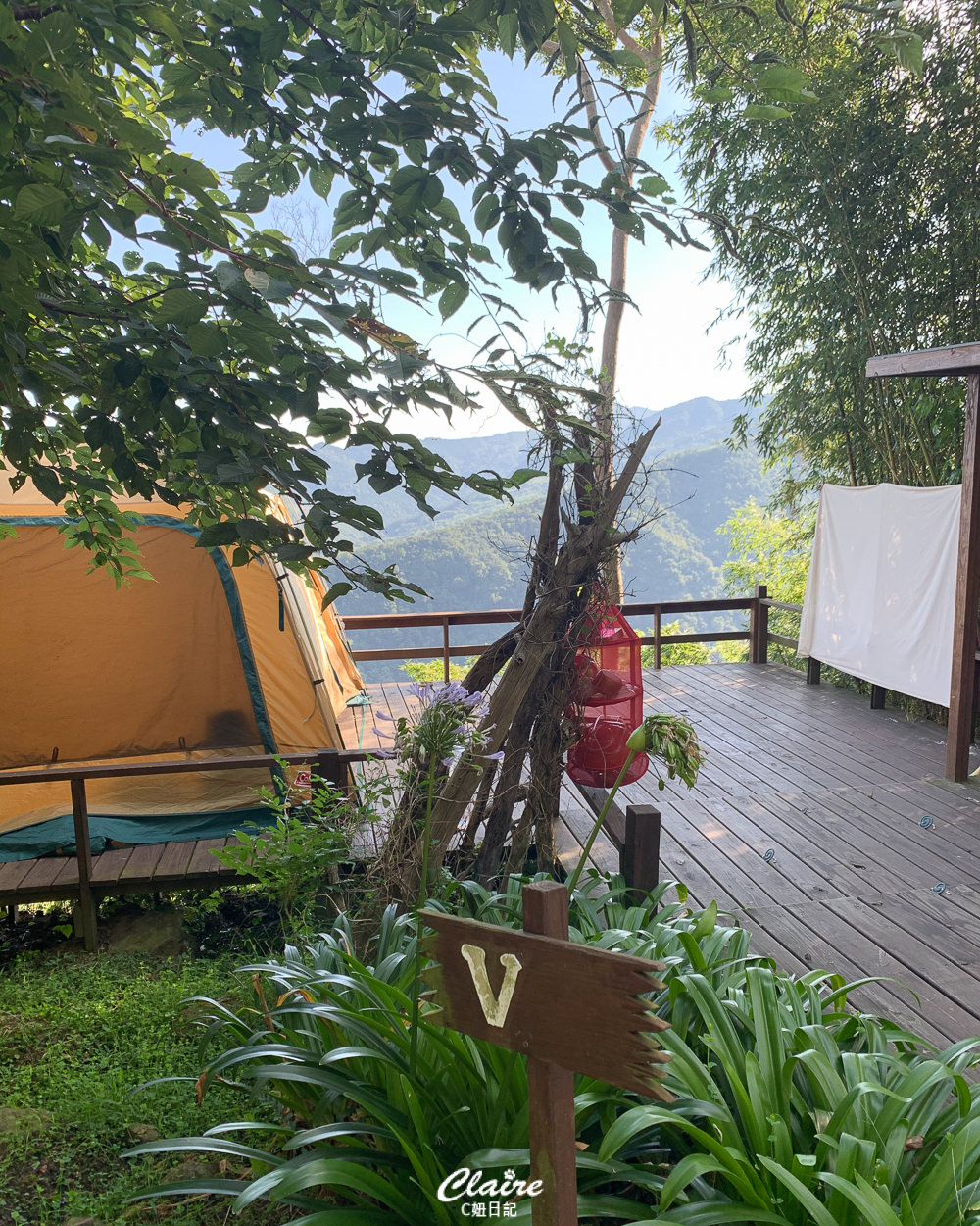 新竹尖石露營推薦！6號花園花現營地，帶狗狗去森林秘境露營吧！