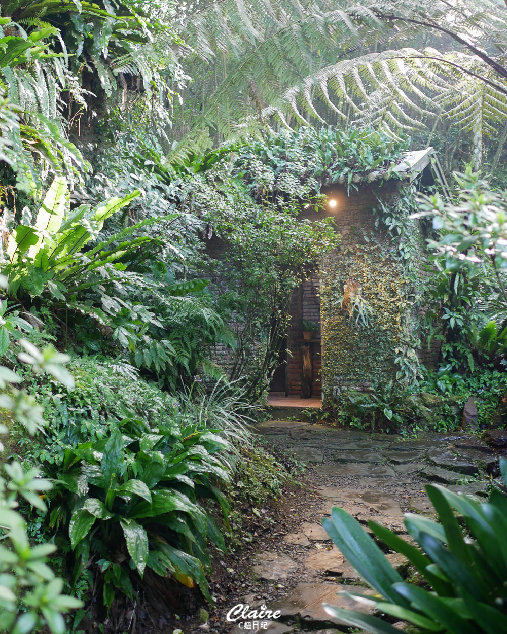新竹秘境玻璃屋！尖石6號花園~森林系超好拍.寵物友善景觀餐廳