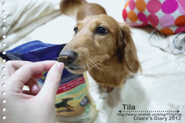 寵物鮮食》狗狗也帶便當囉！Tila吃的方便鮮食‧汪事如意-飼料巔峰ZiwiPeak♥♥