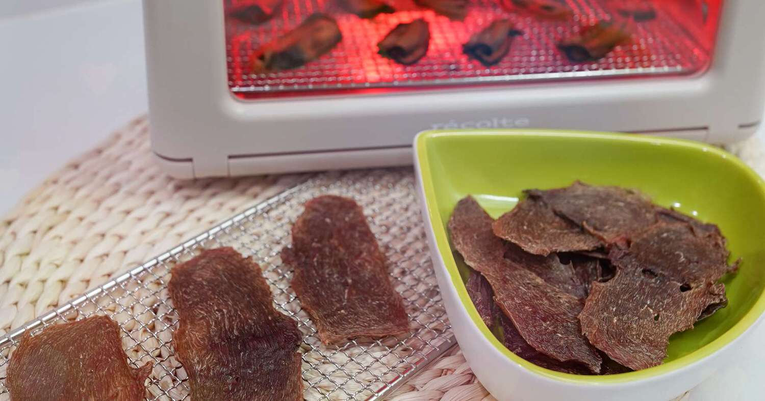 即時熱門文章：自製寵物零食！香脆鴨肉乾、關節養護綠唇貝！烘箱 乾果機溫度設定